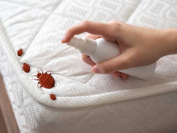 Wasp Removal Services in Pleasant Gap, PA