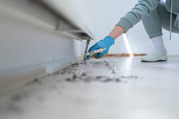 Best Pest Control for Restaurants  in Pleasant Gap, PA